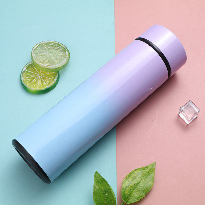 Stainless Steel Thermal Bottle