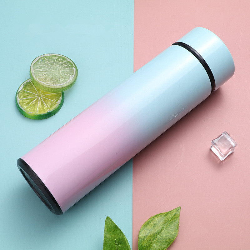 Stainless Steel Thermal Bottle