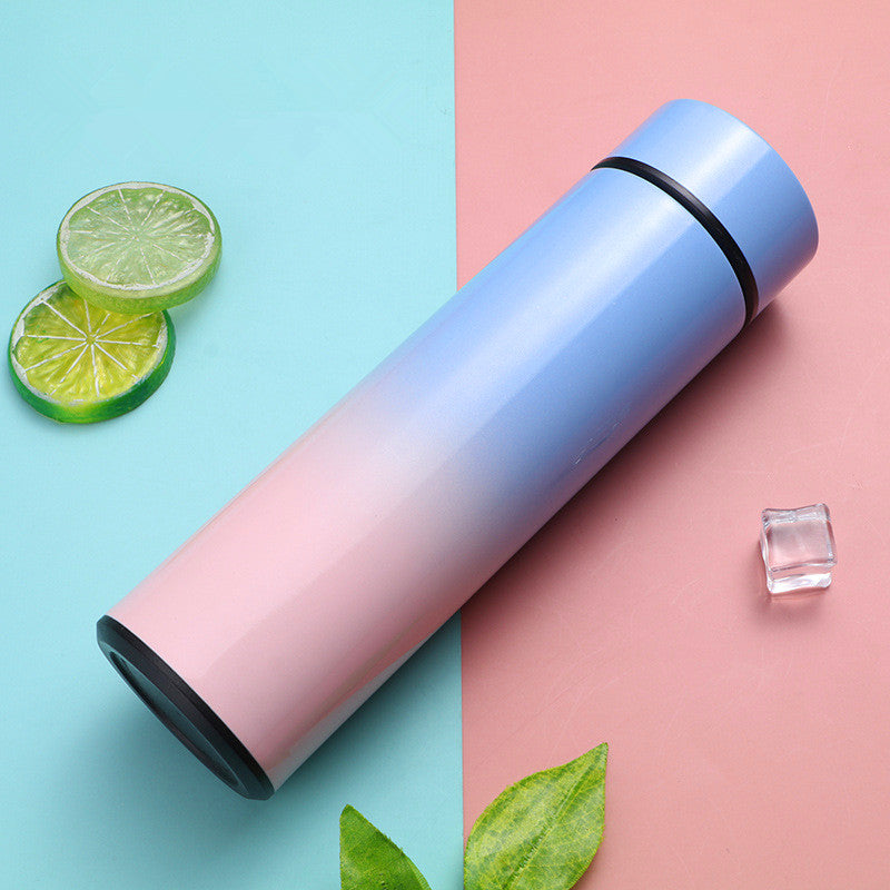 Stainless Steel Thermal Bottle