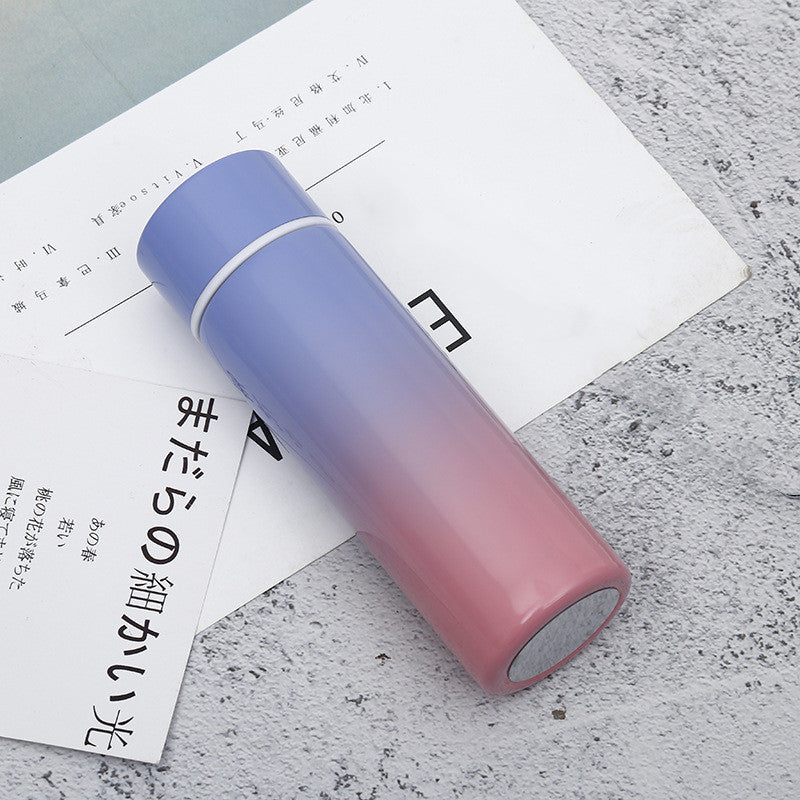 Stainless Steel Thermal Bottle