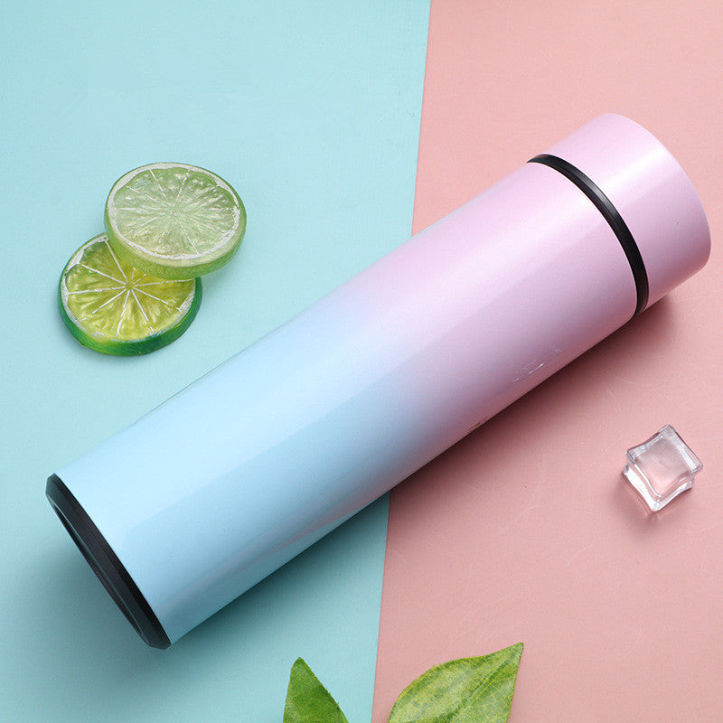 Stainless Steel Thermal Bottle