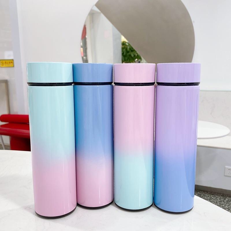 Stainless Steel Thermal Bottle